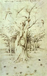El bosque que oye y el campo que ve
